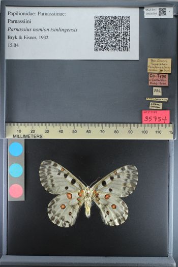 Media type: image;   Entomology 35754
